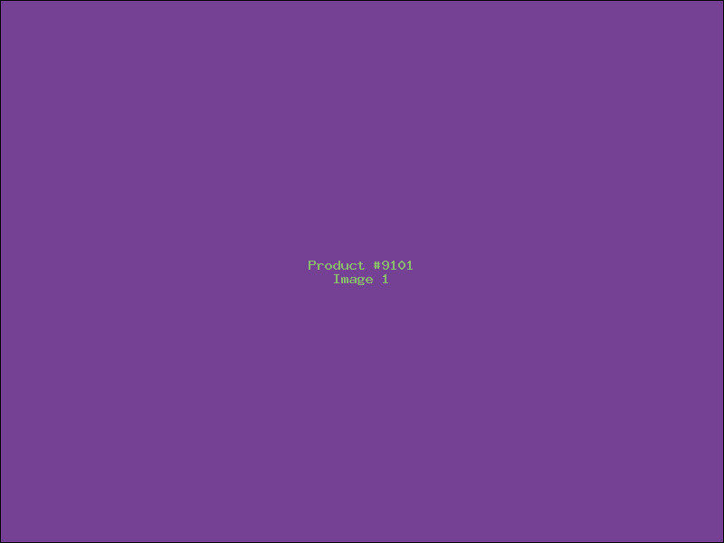 Example Product 9101