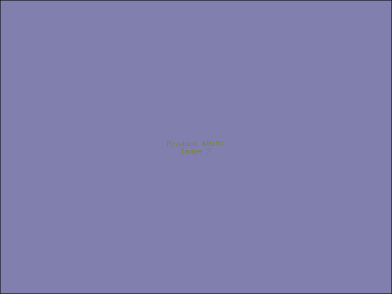 Example Product 9101 - Image 2