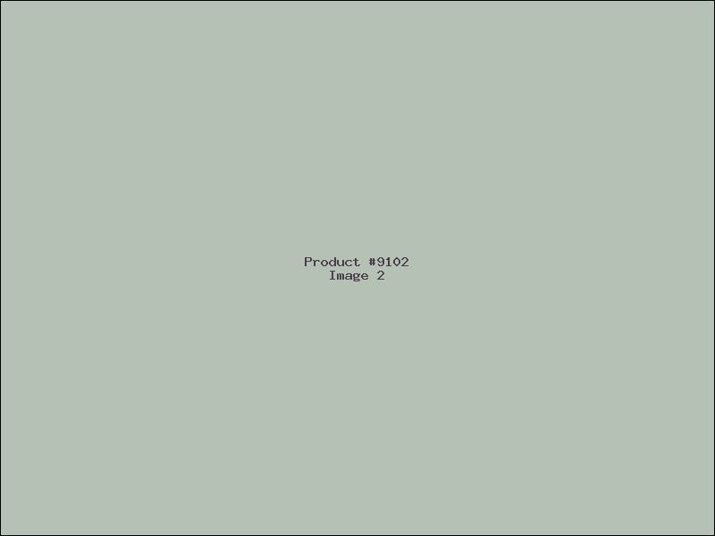 Example Product 9102 - Image 2