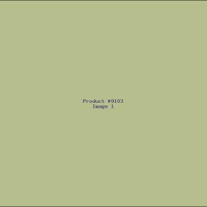 Example Product 9103