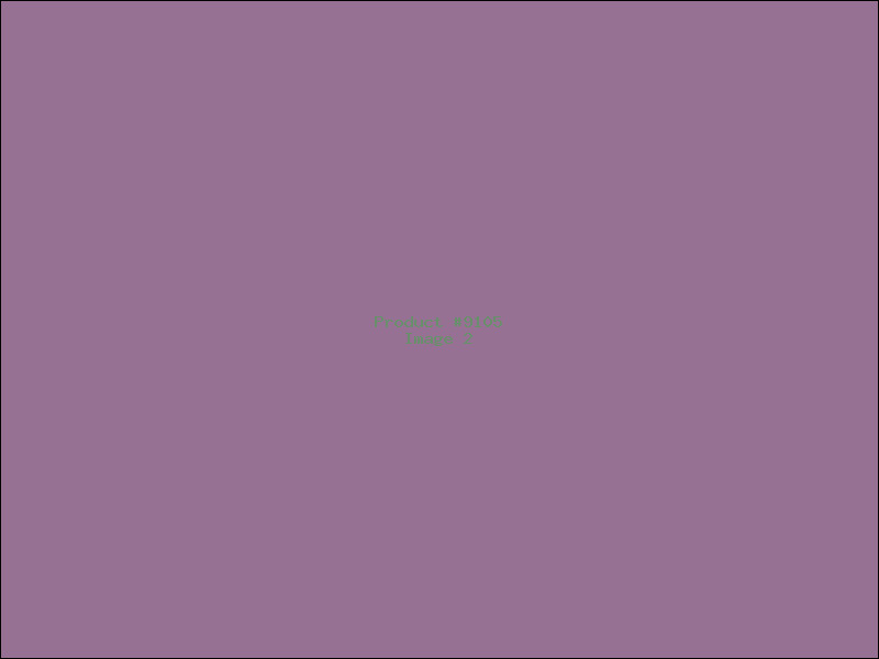 Example Product 9105 - Image 2