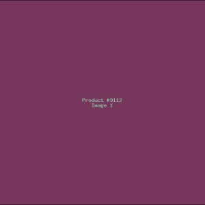Example Product 9112