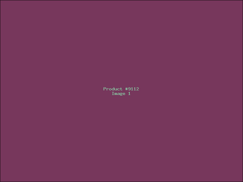 Example Product 9112