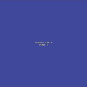 Example Product 9113