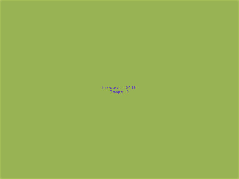 Example Product 9116 - Image 2