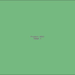 Example Product 912