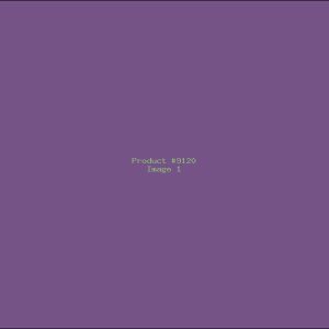 Example Product 9120