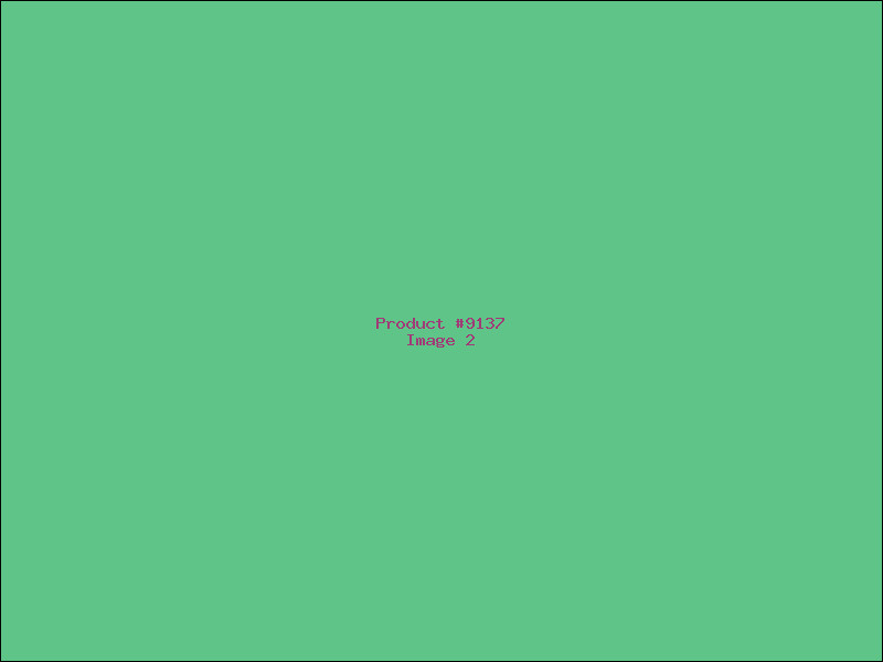 Example Product 9137 - Image 2