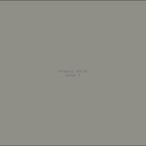Example Product 9139