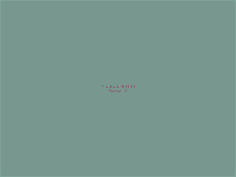 Example Product 9139 - Image 2