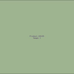Example Product 9145