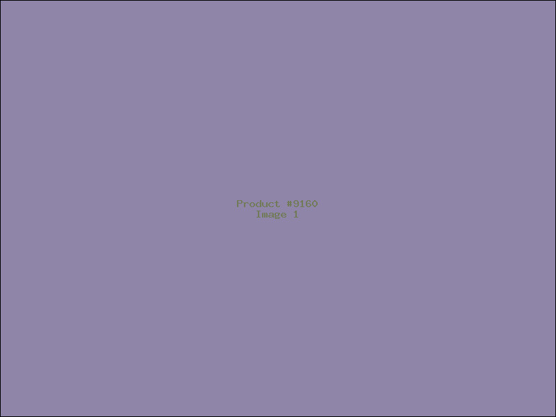 Example Product 9160