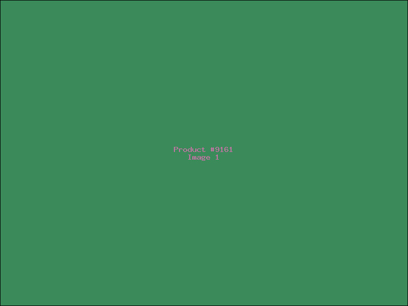 Example Product 9161