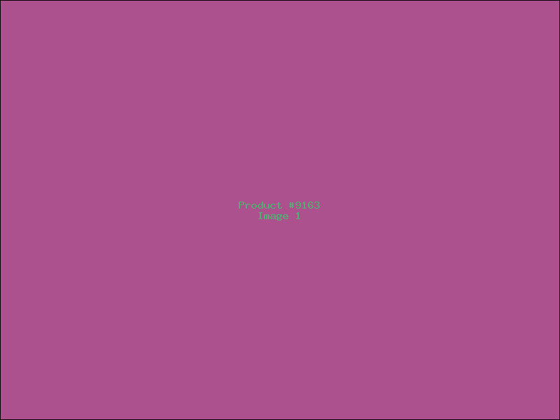 Example Product 9163