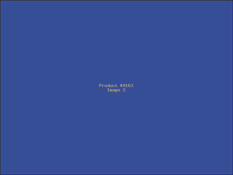 Example Product 9163 - Image 2