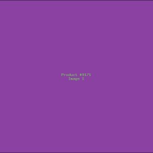 Example Product 9171