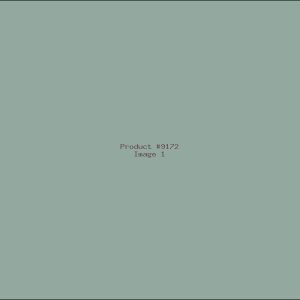 Example Product 9172
