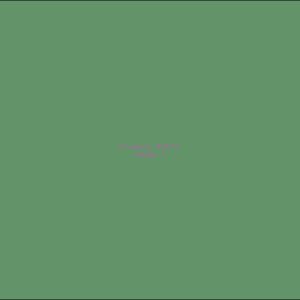 Example Product 9173