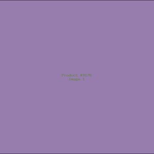 Example Product 9176