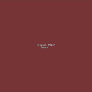 Example Product 9177