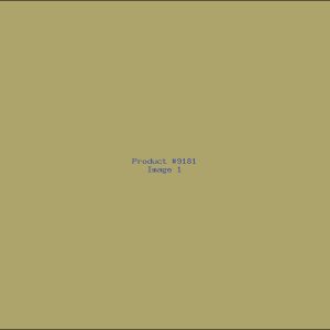 Example Product 9181