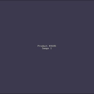 Example Product 9185