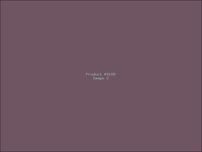 Example Product 9188 - Image 2