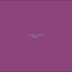 Example Product 9189