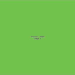 Example Product 919