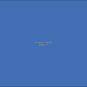 Example Product 9209