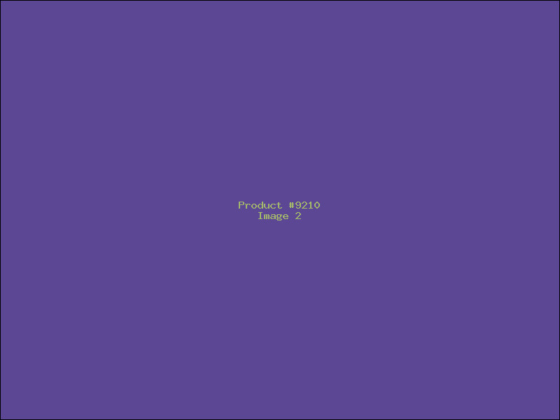 Example Product 9210 - Image 2