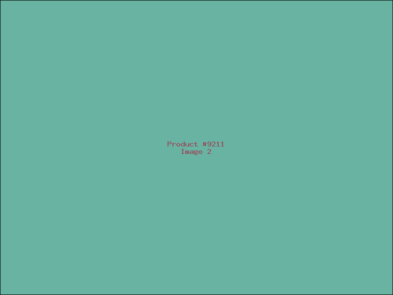 Example Product 9211 - Image 2