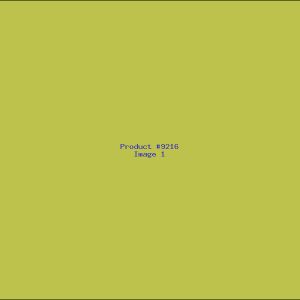 Example Product 9216