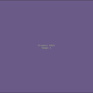 Example Product 922