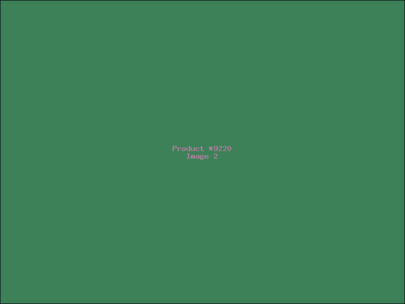 Example Product 9220 - Image 2