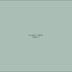 Example Product 9222