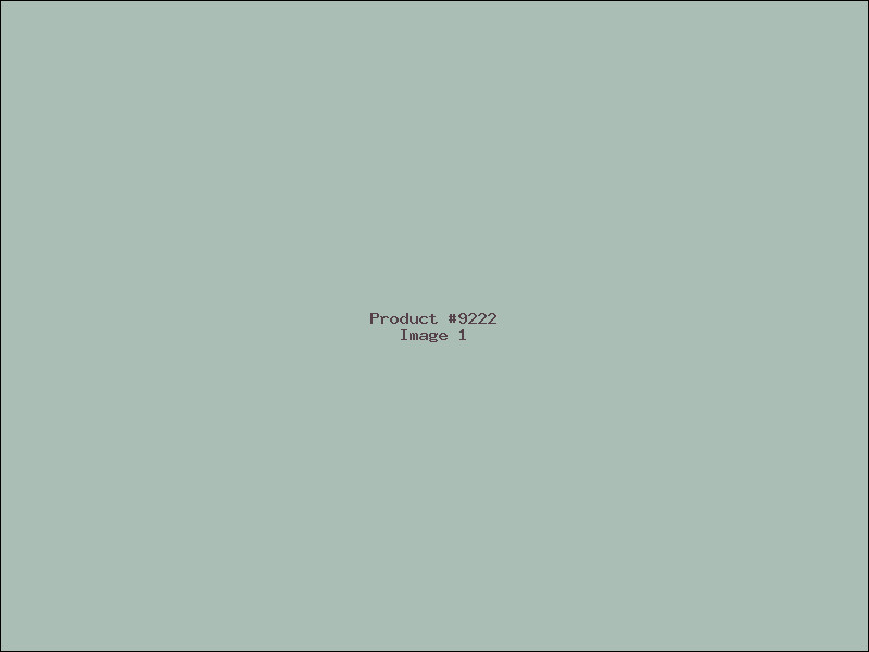 Example Product 9222