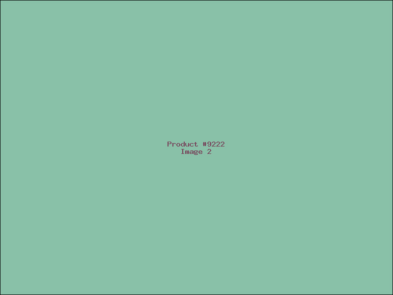 Example Product 9222 - Image 2