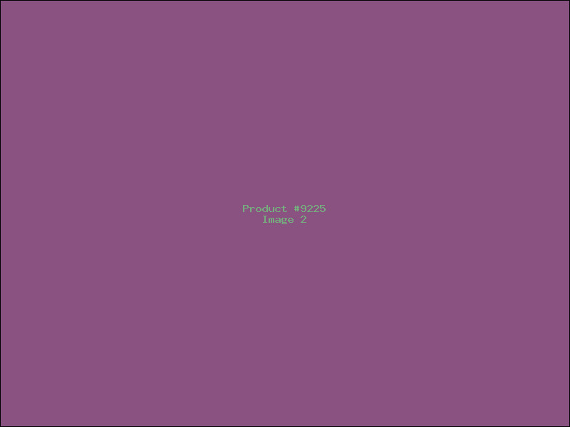 Example Product 9225 - Image 2