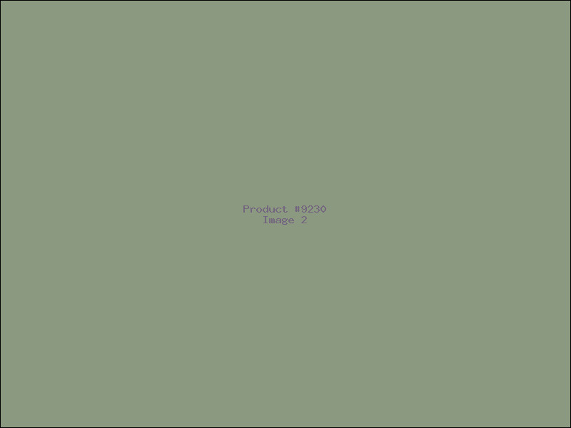 Example Product 9230 - Image 2