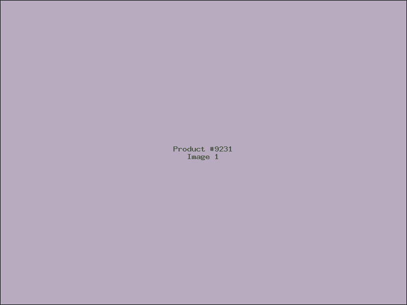 Example Product 9231