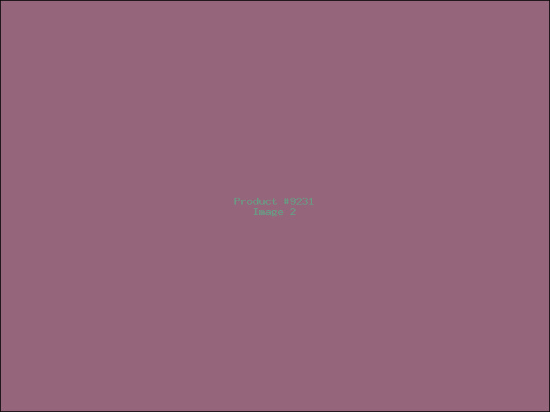 Example Product 9231 - Image 2