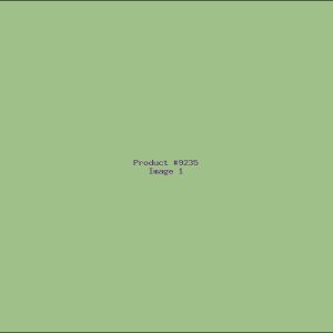 Example Product 9235