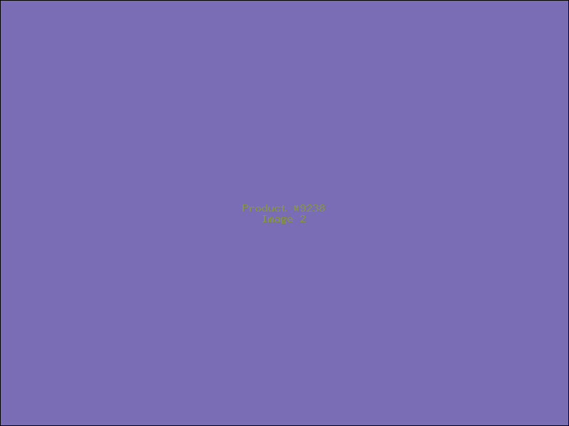 Example Product 9238 - Image 2