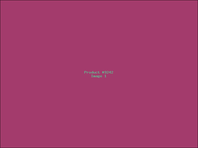 Example Product 9242