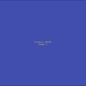 Example Product 9243