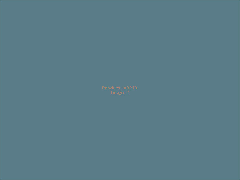Example Product 9243 - Image 2