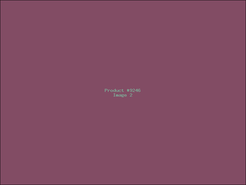 Example Product 9246 - Image 2