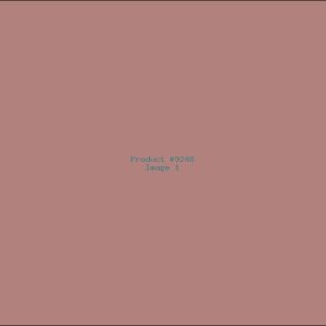 Example Product 9248