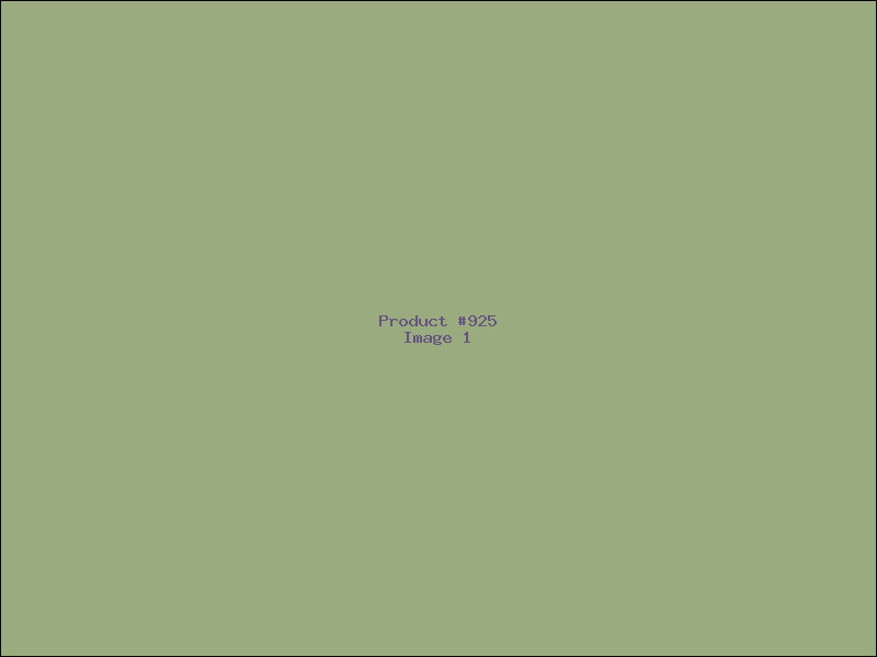 Example Product 925